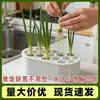 Superventas transfronterizo Regenerador de Cebolleta, artículo de decoración del hogar para cultivar cebolletas, recipiente hidropónico para cebolletas
