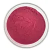 Polvo de Frambuesa Roja Liofilizada, Proceso de Liofilización, Polvo de Frambuesa Liofilizada, Pedido Mínimo de 100 Gramos, Polvo de Frambuesa, En Stock