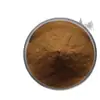 Extrato de Ginseng 10:1 Pó Solúvel em Água, Matéria-Prima de Grau Alimentício, Extrato Vegetal, Pó de Grau Medicinal e Alimentício, em Estoque com Frete Grátis