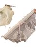 Nova Menina Japonesa Floco de Neve Misty Mesh Lace Puro Algodão Virilha Moda Sexo Confuso Puro Desejo Roupa Interior de Alto Valor para Mulheres