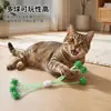 Juguete para Gatos Tubo de Malla con Plumas Múltiples Estilos Palo de Plumas para Jugar Resistente a Mordidas Afilado de Dientes Autentretenimiento para Gatos Juguete de Descompresión Venta al por Mayor