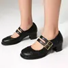 Zapatos de Salón Franceses de Tacón Medio Grueso Puntiagudos para Mujer 2025 Nuevos Zapatos Mary Jane Retro de Doble Botonadura 40-43 Exportación