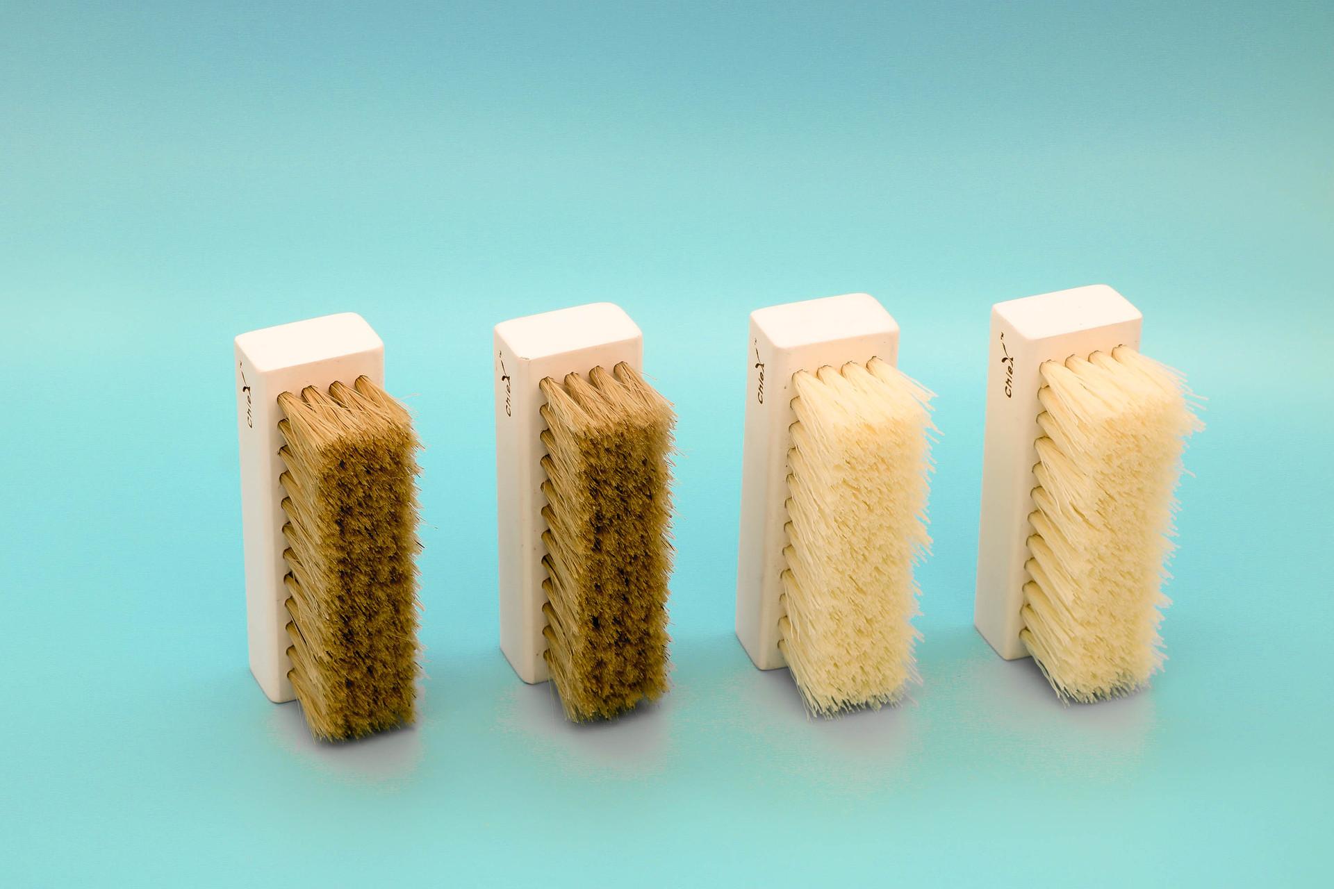 IMG_5387