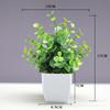 Venda quente transfronteiriça Simulação de planta Planta falsa Planta verde Decoração interna e externa Simulação de eucalipto em vaso de plástico Planta pequena em vaso