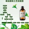 Óleo Essencial de Eucommia, Óleo Essencial Herbal Único, Óleo de Eucommia, Óleo Essencial para Aromaterapia e Cuidados Diários, Grande Estoque do Fabricante Disponível com Desconto
