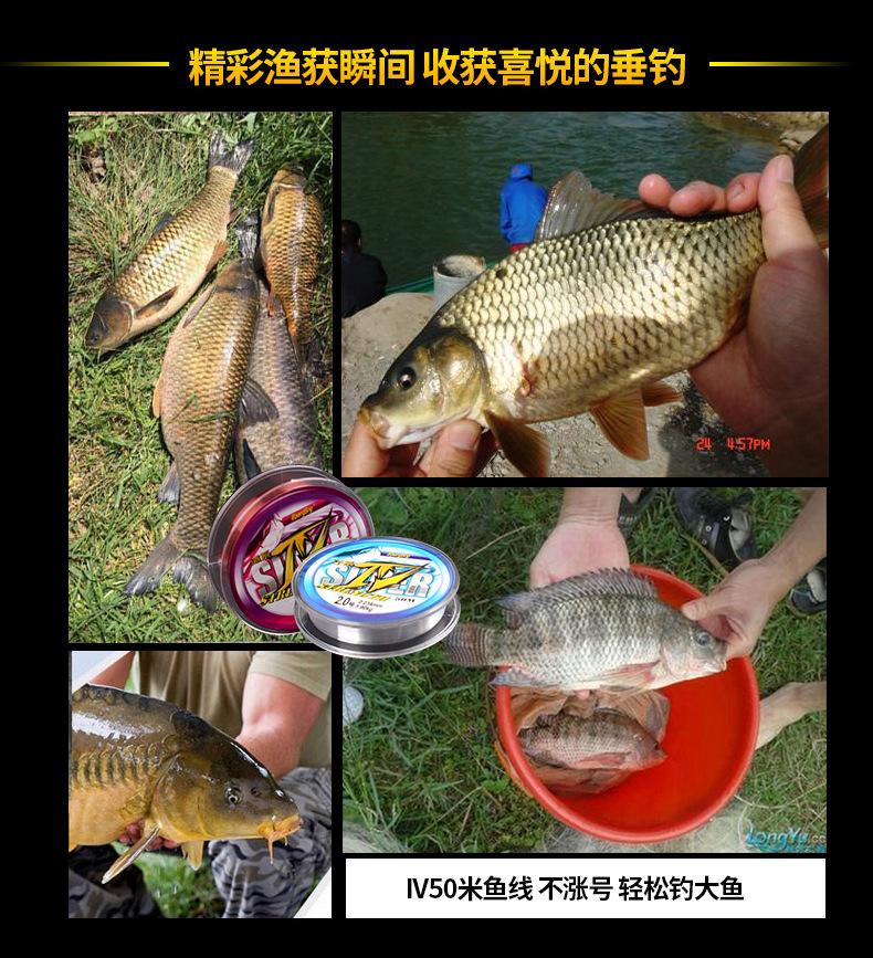 IV50米50米_25