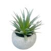 Decoración interior del hogar simulación suculenta pequeña planta en maceta diseño de escritorio planta adornos en maceta suculenta falsa planta verde mayoreo