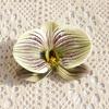 Flor Artificial Eva Impresa 3D Cabeza de Orquídea Mariposa Pequeña Exquisita Recuerdo de Boda Decoración de Caja de Dulces Material para Accesorios del Cabello