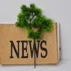 Simulación de agujas de pino de belleza, hojas de pino, tuya, hojas de pino de bienvenida, plantas verdes, plantas en maceta, accesorios de decoración de paisajes