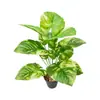 Ventas Directas de Fábrica Artesanías Plantas Verdes Artificiales Simuladas Flores y Hojas Falsas de Guanyin Verde Plantas en Maceta para Sala de Estar del Hogar