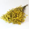 Flor Seca de Yunnan Flor Eterna Hierba de Cristal Venta al por Mayor Vela de Aromaterapia DIY Paquete de Material Ramo de Flores para el Día de la Madre Venta al por Mayor de Fábrica