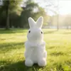 Producto de gran venta transfronteriza: Conejo de Peluche de Pascua con Musgo Artificial, Directo del Fabricante, Se Puede Etiquetar para Temu
