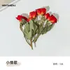 Materiais para Artesanato DIY de Flores Eternas no Atacado, Flores Secas, Frutas Secas, Rodelas de Laranja, Pinhas, Adereços para Fotografia de Flores, Materiais para Artesanato DIY de Jardim de Infância