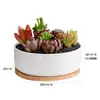 Dongheng Maceta de Animales Estilo Japonés y Coreano Maceta Mini Pulgar Adornos Set de Búho Cambio de Horno Maceta para Suculentas con Base