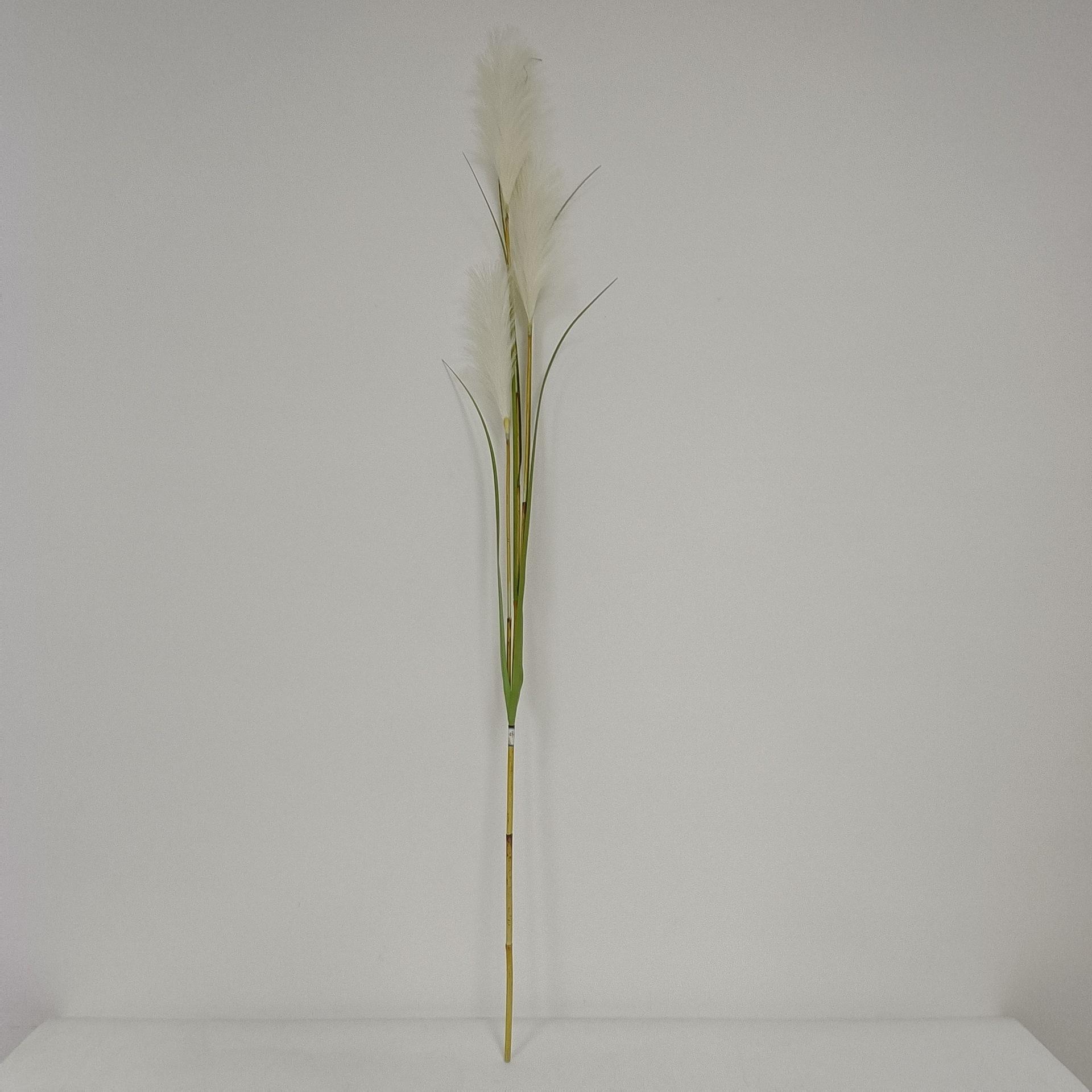 1.45米3头套管芦苇2.jpg