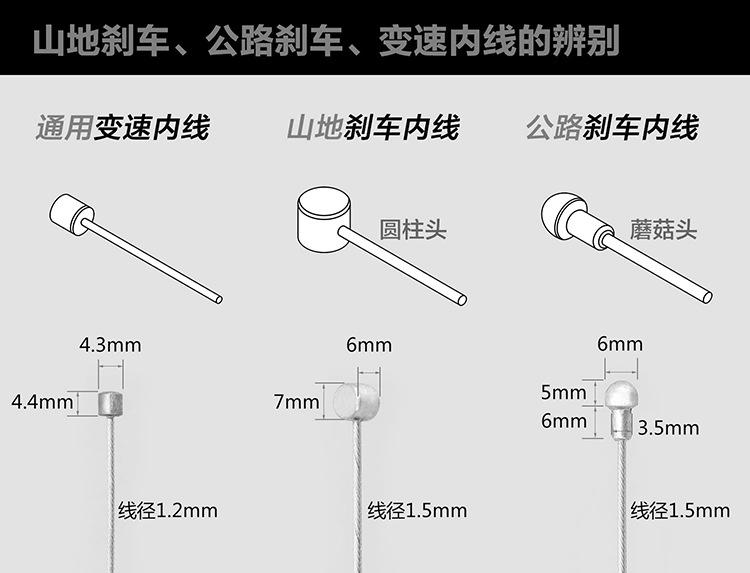 辨别.jpg