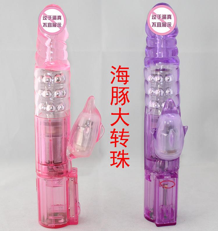 海豚