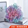 Yunnan Kunming Dounan Céu Estrelado flores secas naturais pesando Jin vendendo buquê grande de sala de estar fresca para decoração de casa frete grátis