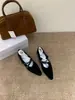 Sapatos Mary Jane Femininos 2025 Outono Novo com Fivela de Corrente em Camurça, Salto Oculto e Bico Fino, Estampa de Leopardo