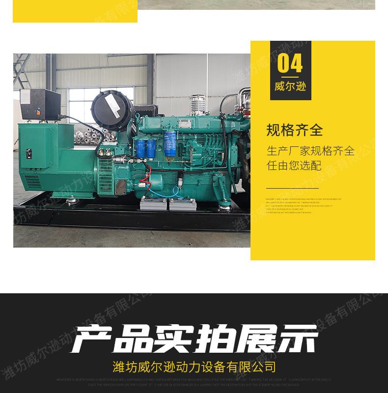 潍柴250千瓦发电机组_06.jpg