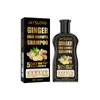 Jaysuing Champú para el Cuidado del Cabello de Jengibre Limpieza Profunda del Cabello Hidratante Cuidado del Cabello Hidratante Suave y Esponjoso