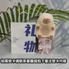 Nuevo despertador de peluche kappibala luz nocturna carga temperatura ambiente de dormitorio mesita de noche estudiante gestor de tiempo