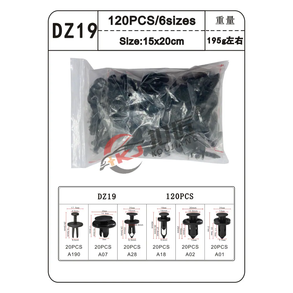 DZ19-5.png