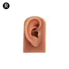 Modelo de Exhibición de Auriculares de Oreja de Silicona Joyería de Pendientes de Oreja Práctica de Limpieza de Orejas Prop de Enseñanza de Simulación del Cuerpo Humano