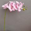 Simulación de 7 cabezas de Phalaenopsis, venta al por mayor en el extranjero, modelo moderno para casa, habitación, boda, hotel, estudio, flores decorativas