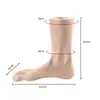 Modelo de Pie Femenino Color de Piel Esmalte Zapatos Planos Suela Cinco Dedos Calcetines Pantuflas Sandalias Exhibición Modelo de Pie Pie Suave Transmisión en Vivo Modelo de Pie