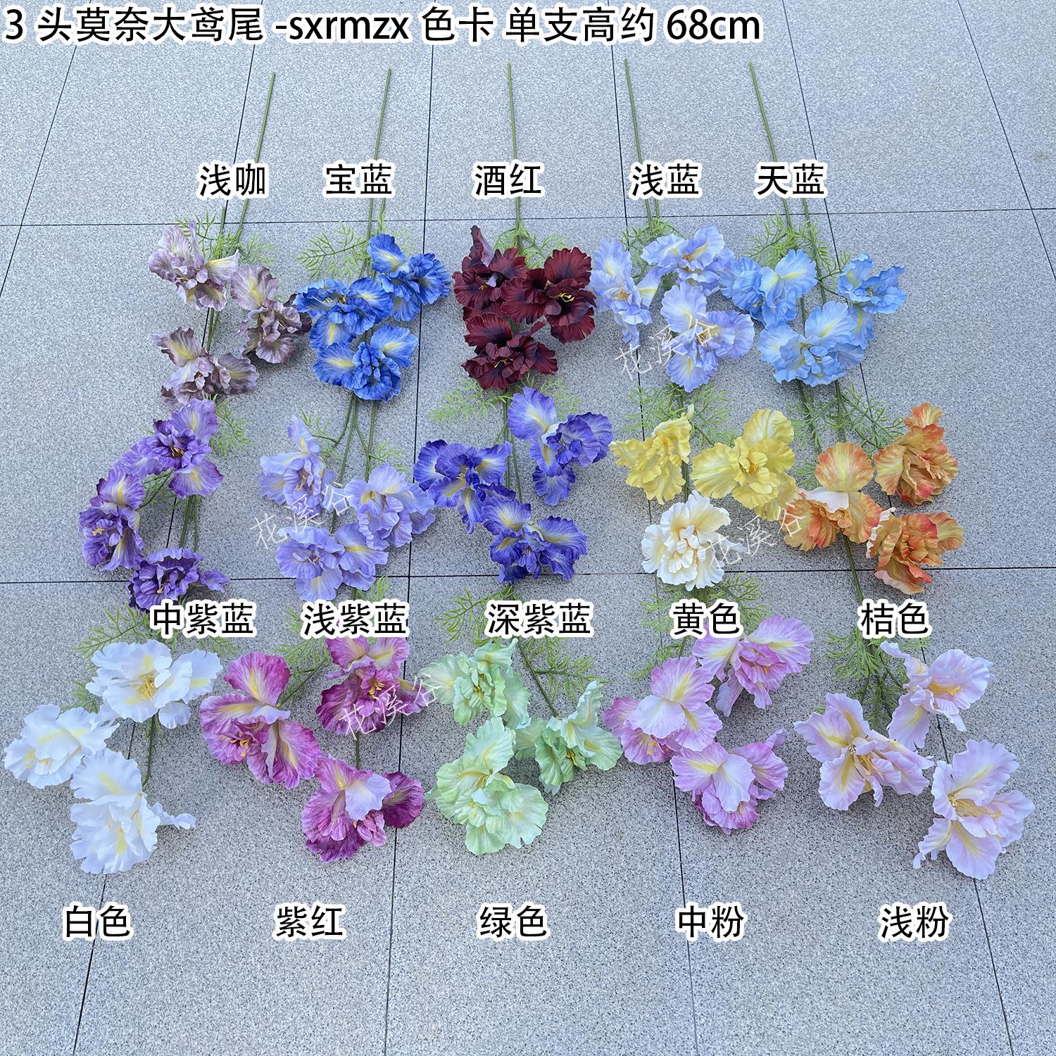 3头莫奈大鸢尾-sxrmzx 色卡 花溪谷.jpg