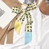 Bufanda Pequeña de Seda para Mujer Estilo Coreano Versátil Letra Geométrica Cinta Diadema Larga Estrecha Elegante de Moda Bufanda Decorativa Multifuncional