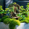 Nuevas Estacas de Jardín Encantador de Bosque Transfronterizas para Interior y Exterior Acrílico Plano Plantas en Maceta e Inserciones Decorativas para Patio