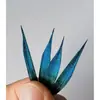 Pluma de Martín Pescador Puntiaguda Materiales para Manualidades Pasador Pendientes Corona de Fénix Pendientes Broche Base para Joyería Pluma de Martín Pescador Puntiaguda No Patrimonial Pinza para el Cabello de Pluma de Martín Pescador Puntiaguda