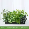 Paisajismo con Plantas Artificiales Greenway, Arreglos de Cajas de Flores Artificiales, Macetas para Plantas de Paisaje Artificiales, Decoraciones para Separadores de Ambientes