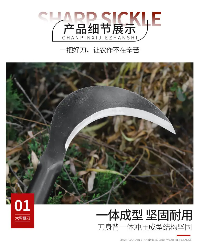 详情_08.jpg