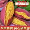 Batatas Frescas de Tierra Arenosa, Batatas Cultivadas en Granja de 4.5 kg, Batatas Dulces de Castaña, Batatas de Corazón Amarillo y Rojo, Batatas Asadas, Batatas de Corazón de Azúcar