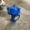 Filtro de canasta de purificación gruesa pretratamiento de aguas residuales protección ambiental química alto flujo resistente a la corrosión DN40-DN500 personalizable