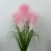 Simulação Junco Cebola Grama Maço Adereços Decoração Arranjo Nórdico Indoor Flor de Simulação Simulação Junco Rabo de Raposa Grama