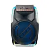 Alto-falante Sem Fio de 15 polegadas 30W Mais Vendido Reprodução Bluetooth com Microfone com Fio Subwoofer Personalização OEM