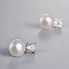 S925 brincos de prata esterlina elegante quatro-garra diamante pérola brincos estilo coreano todos os brincos de correspondência jóias de prata esterlina