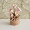 Bolsa de la Suerte Tejida a Crochet Hecha a Mano Transfronteriza Plantas Pequeñas en Maceta Muebles para el Hogar Decoración de Rosa Tejida de Lana Plantas en Maceta Flor Simulada