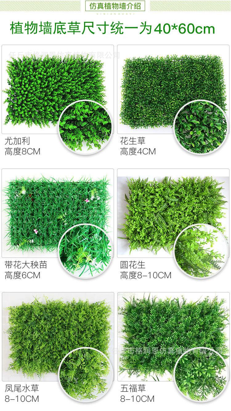 植物墙20180925版1_03.jpg