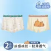 Ropa interior para niños de 10 a 15 años, calzoncillos bóxer tipo A de seda helada para bebé, estilo fino de verano para niños y bebés