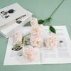 Flor artificial para boda 6 cabezas bola de terciopelo de nieve nueva sala de bodas decoración suave arreglo floral camino guía flor de mesa alta comercio exterior