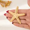 Broche Estrela do Mar de Venda Quente Transfronteiriça Nova Tendência da Moda de Verão Adequado para Mulheres Usarem no Dia a Dia ou nas Férias