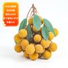 Frutas Simuladas, Modelos de Limón de Fruta Falsa, Accesorios de Fotografía de Manzana Falsa, Accesorios de Rama, Adornos Decorativos para Arreglo de Escena