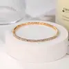 Pulseira Fina de Garra S6 com Strass, Uma Fileira, Elástica, Pulseira Tennis, Pulseira Banhada a Ouro Transfronteiriça, Fabricante, Atacado
