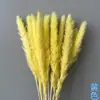 Pequeno Buquê de Flores Secas de Junco Misturado com Flores Secas para Decoração, Junco Cinza Claro, Buquê de Capim-dos-Pampas Transfronteiriço, Flores Imortais