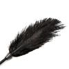 Cepillo de Plumas de Avestruz SM Divertido para Parejas Castigo Masaje Vergüenza Burlas Coqueteo Palo de Plumas Alternativa Suministros para Adultos